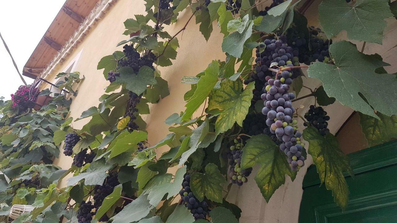 Scaccia Pensieri Villa Cerchio Luaran gambar